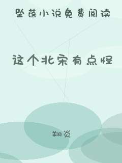 这个北宋有点怪