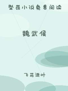 魏武侯